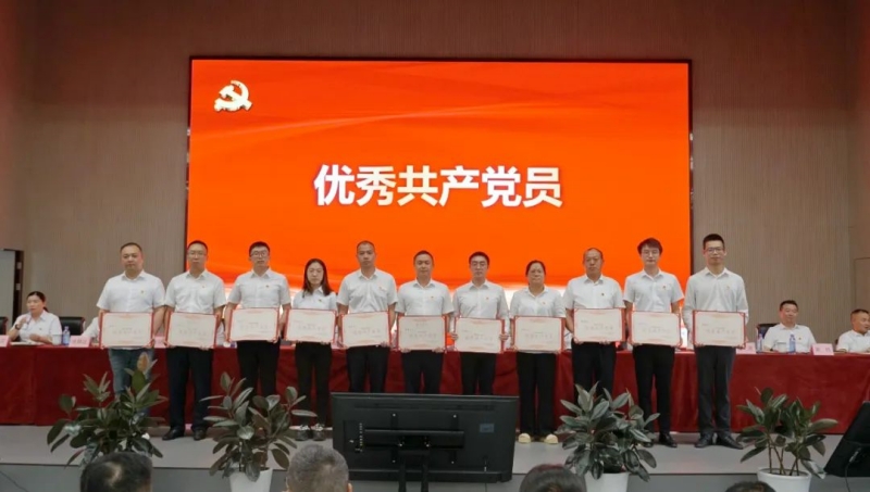 2024新澳门原料网点站