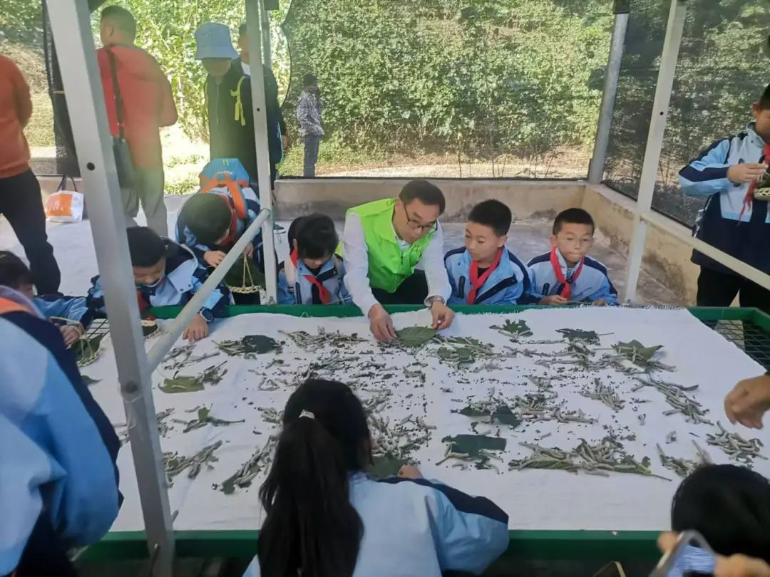 2024新澳门原料网点站